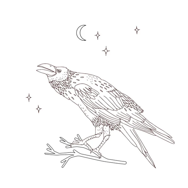 Cuervo negro en ramita en el cielo nocturno para colorear página vector ilustración — Archivo Imágenes Vectoriales