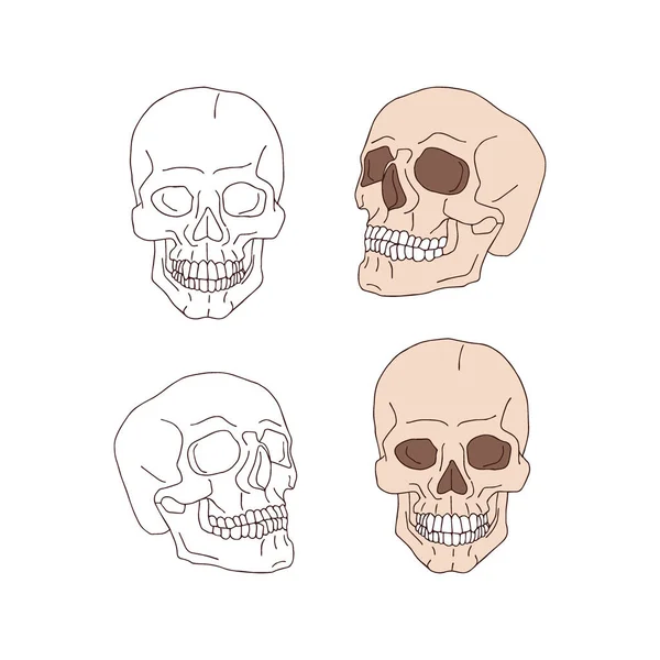 Spooky retro scull pink and contour vector illustration set isolated on white Stock Illustration
