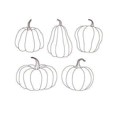 Sonbahar Balkabağı Mutfak Bahçesi Hasat Rengi Sayfa Çizimi