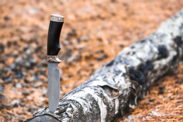 Coltello Campagna Bloccato Lama Betulla Attrezzature Escursioni — Foto Stock