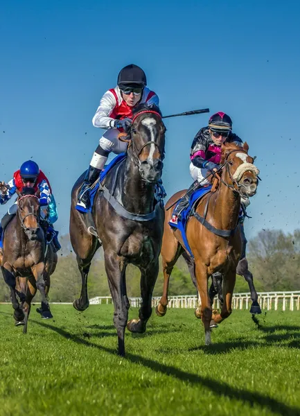 Carreras de caballos — Foto de Stock