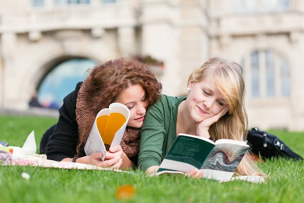 Female late teens learn together Stock Image