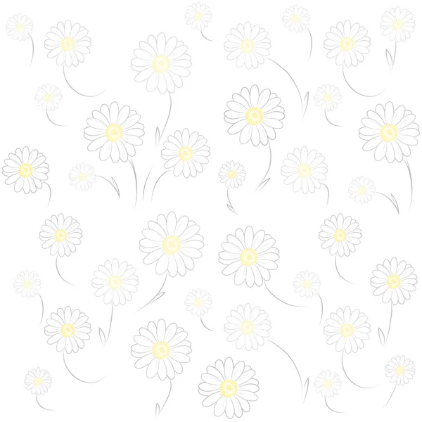 Daisy fondo blanco — Archivo Imágenes Vectoriales