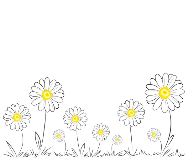 Marguerites sur fond blanc — Image vectorielle