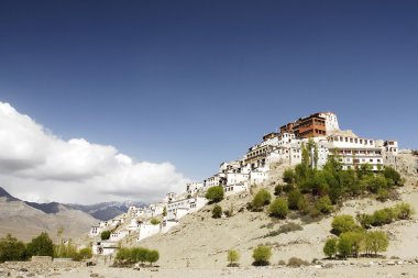 Buddhist monastery in Tiksey, Ladakh. clipart