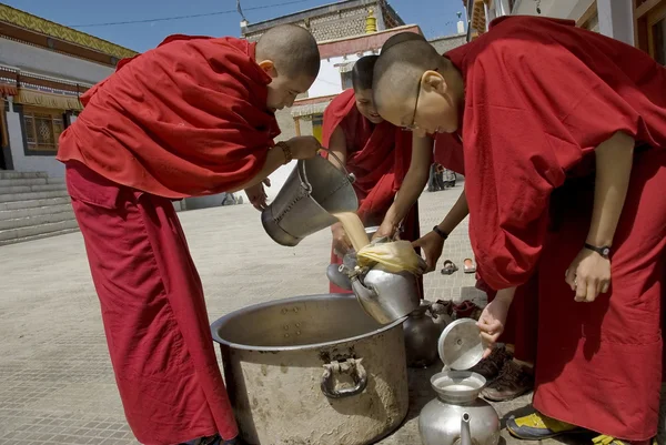 Buddhist nuns pour public tibetan tea at 4-days puja ceremony in Leh, Ladakh, India. — Stock Photo, Image
