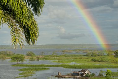 Rainbow over Amazon river near Iquitos, Peru. clipart
