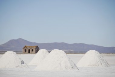 salar uyuni, Bolivya, tuz çıkarımı.