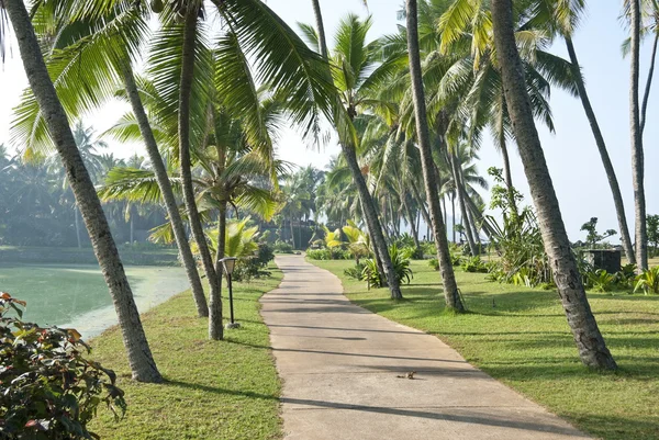 Walking path in Kerala, India. — Stock Photo, Image