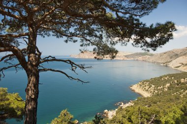 Kırım deniz kıyısı.