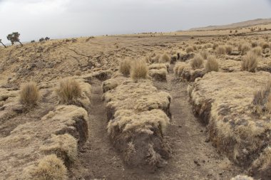 simien Dağları Milli Parkı, Etiyopya, toprak erozyonu.