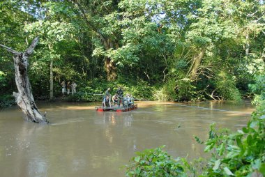 Batılı turistler nehir kyambura bir şempanze Kraliçe elizabeth n.p., uganda doğa yürüyüşü için cross.