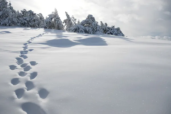 Einsame Fußspuren am schneebedeckten Hang, die Krimberge, die Ukraine. — Stockfoto
