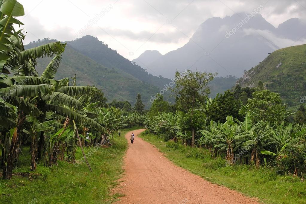 Road landscape with Ruwenzori Mountains, Uganda.