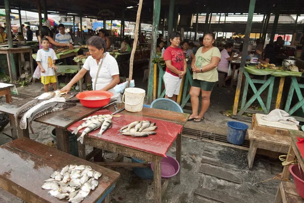 Barracas de peixe no mercado em Iquitos, Amazonas . — Fotografia de Stock