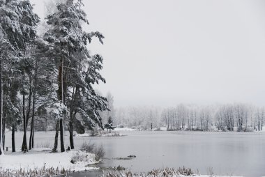 göl kıyısında bir bulutlu gün kış zamanında, Rusya Federasyonu.