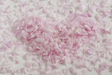 kalp şeklinde yaprakları, pembe-beyaz arka plan astarlı.
