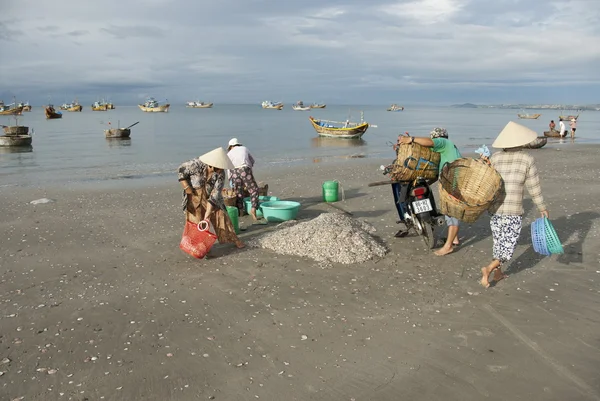 Mulheres vietnamitas carregam novas capturas de barcos de pesca em Mui Ne, Vietnã . — Fotografia de Stock