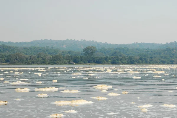 Espuma en el río Victoria Nile después de las cataratas Murchison, Uganda . — Foto de Stock