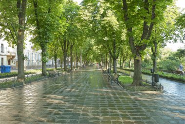 Primorskiy Bulvarı odessa, Ukrayna.