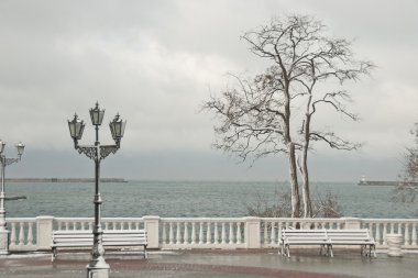 kış deniz Sivastopol, Kırım, Ukrayna.