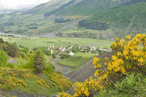 Mulakhi Valley a Svaneti, Georgia . — Foto Stock