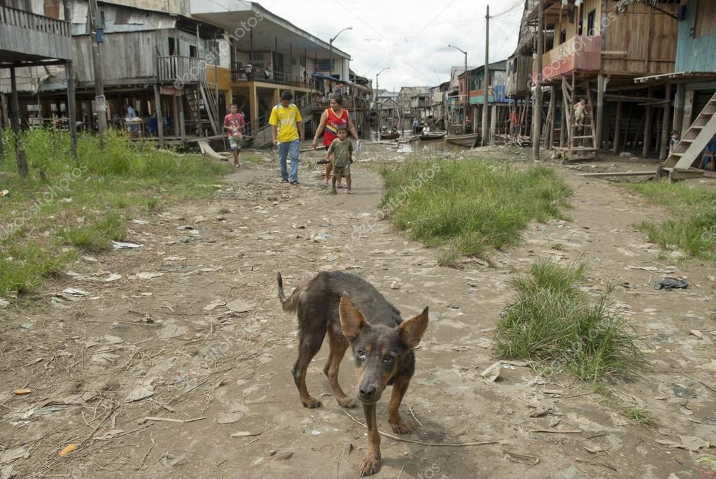 iquitos chat Chat peru, ha llegado la hora de conversar sin limites. iquitos chat Chat peru, ha llegado la hora de conversar sin limites.