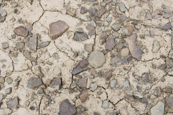 Texture of desert ground, Ladakh, India. — Stock Photo, Image
