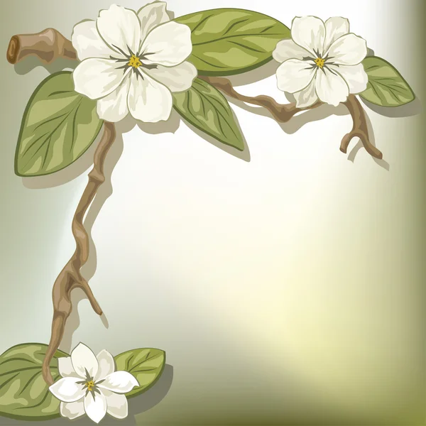 Magnolia — Wektor stockowy