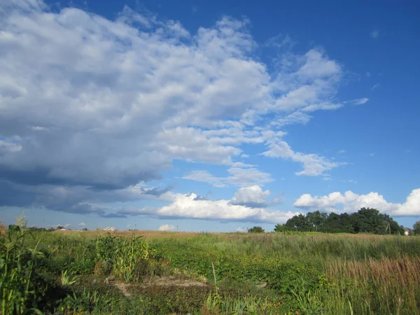 Landscape Meadow Trees Clouds Sky — Stock Photo, Image