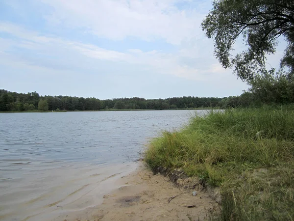 Sand Shore Forest Lake — Stock Photo, Image