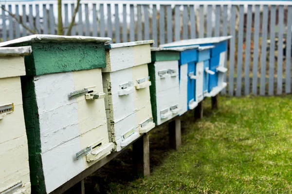 Apiary — Stock Photo, Image