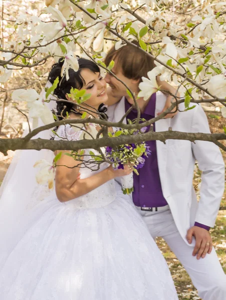 Brudgummen och bruden i vit klänning på en bakgrund av blommande träd — Stockfoto