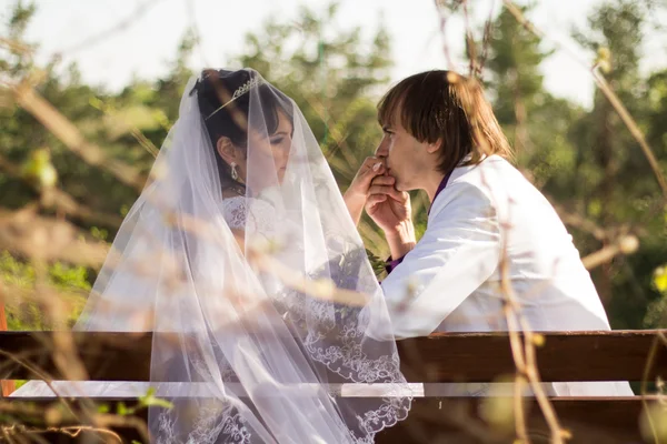 Pareja romántica de boda sentada en un banco en el parque —  Fotos de Stock