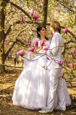 Manolya çiçek açması ile doğa arka plan üzerinde yeni evliler