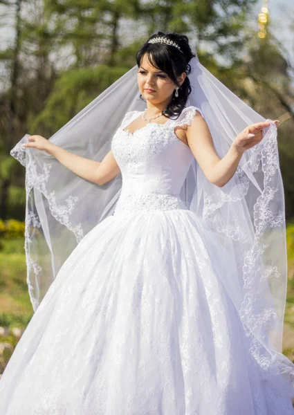 Beautiful bride is standing in wedding dress — Stock Photo, Image