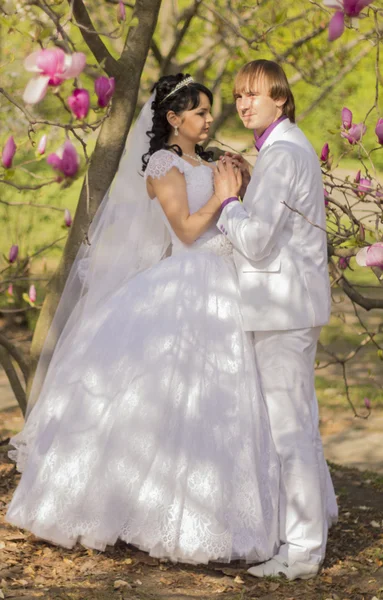 Newlyweds on nature background with blossoming magnolias — Stock Photo, Image
