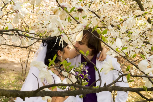 Sposo e sposa in abito bianco su uno sfondo di albero fiorito — Foto Stock