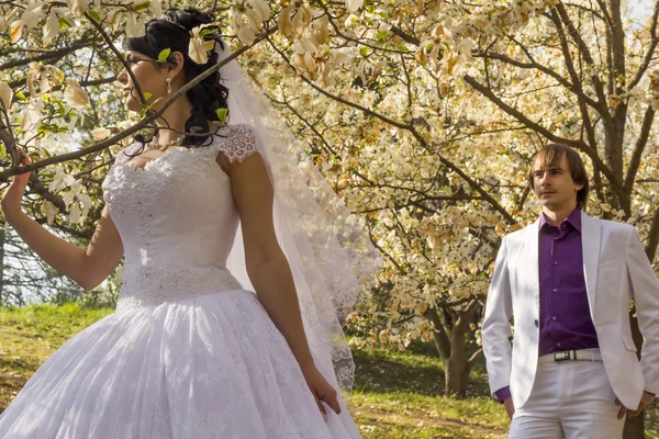 Novio y novia en vestido blanco sobre un fondo de árbol floreciente —  Fotos de Stock