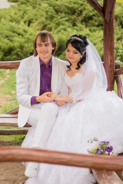 Couple in love bride and groom posing sitting on wooden bench in — Stock Photo, Image