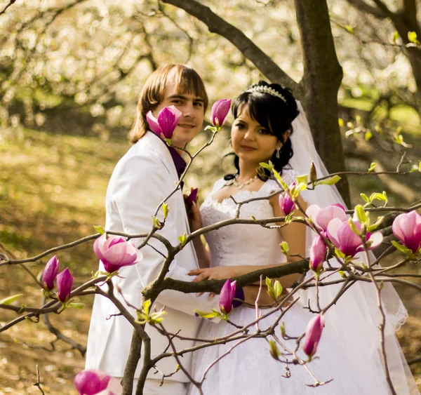 Sposi su sfondo naturale con magnolie in fiore — Foto Stock