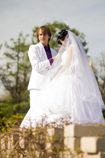 Elegante novia y novio posando juntos al aire libre en una boda da —  Fotos de Stock