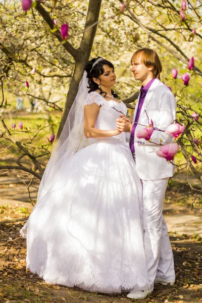 Newlyweds on nature background with blossoming magnolias — Stock Photo, Image