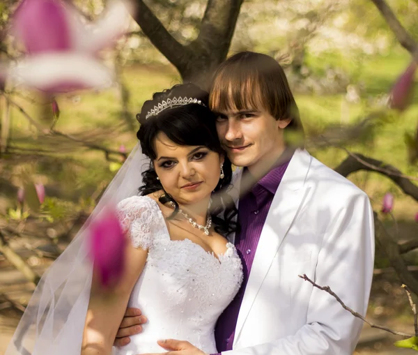モクレンの開花と自然の背景に新婚夫婦 — ストック写真