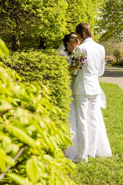 Romantyczny pocałunek młodej i pana młodego na wesele spacerem — Zdjęcie stockowe