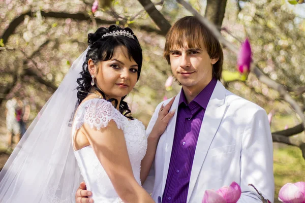モクレンの開花と自然の背景に新婚夫婦 — ストック写真