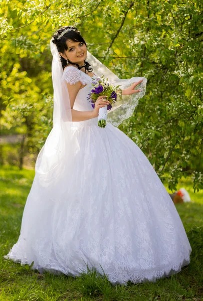 Bella sposa posa nel giorno del suo matrimonio — Foto Stock