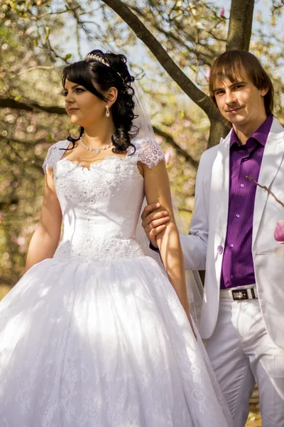 Bride and groom — Stock Photo, Image