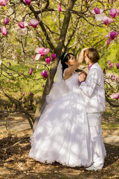 Recém-casados no fundo da natureza com magnólias florescentes — Fotografia de Stock