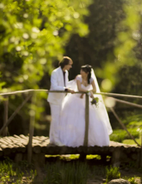 Happy bride and groom on a wooden bridge in the park at the wedd — Stock Photo, Image